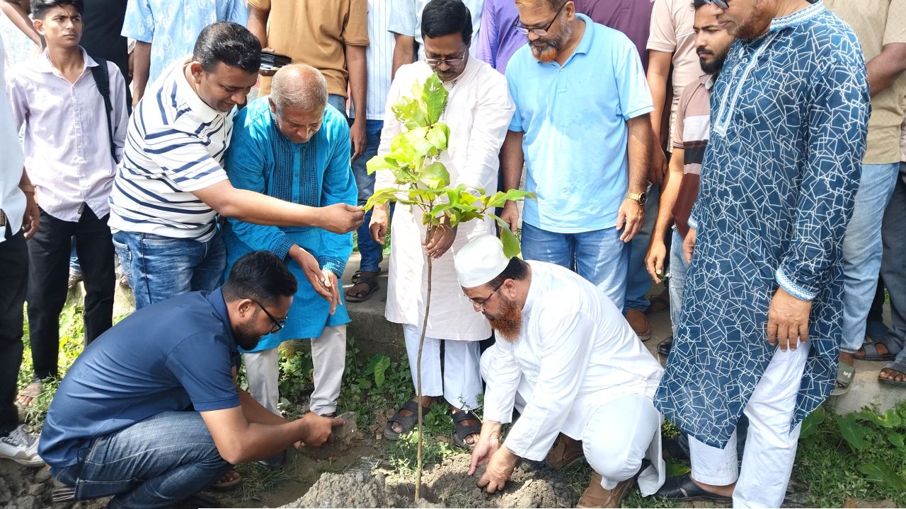 কুড়িগ্রামে বিএনপির ৫ শতাধিক বৃক্ষরোপণ