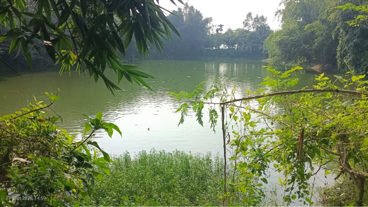 মাছ লুটের পর এবার পুরো পুকুর দখলের চেষ্টার অভিযোগ