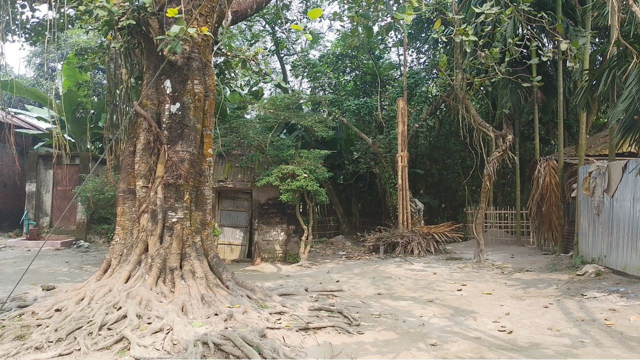 গঙ্গাচড়ায় ভুয়া পূজামণ্ডপ দেখিয়ে জিআর চাল উত্তোলনের অভিযোগ